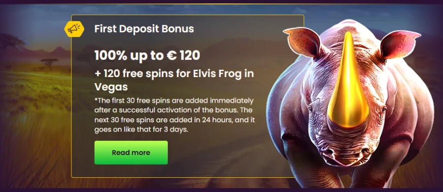 Bizzo Casino Bonus